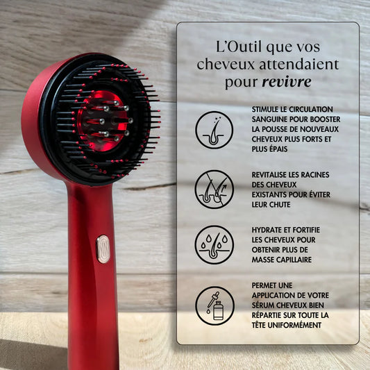 Brosse de Massage